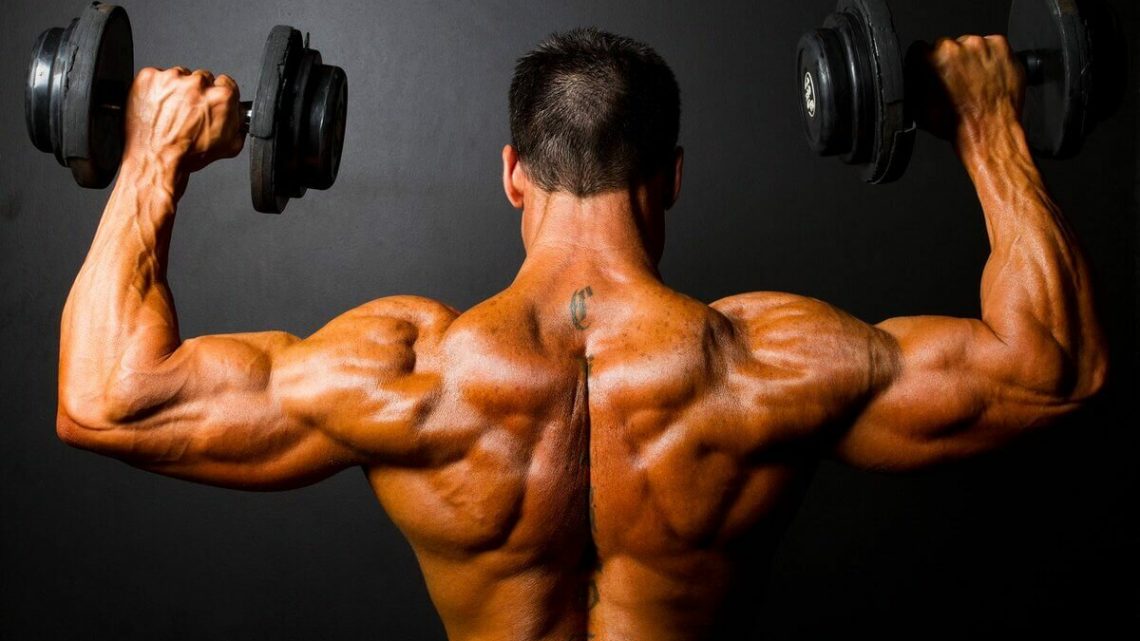 Features of training with steroids